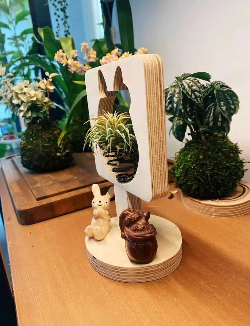 龍貓散養(yǎng)有哪些安全隱患：制造冷知識(shí)，龍貓散養(yǎng)有哪些風(fēng)險(xiǎn)你知道嗎 龍貓散養(yǎng)有哪些安全隱患：制造冷知識(shí)，龍貓散養(yǎng)有哪些風(fēng)險(xiǎn)你知道嗎 龍魚(yú)百科 第2張