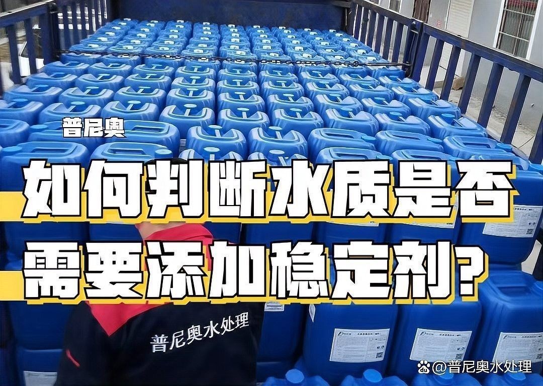 豐寧龍魚的最佳水溫是多少？（豐寧龍魚的最佳水溫通常在24至28攝氏度之間之間）