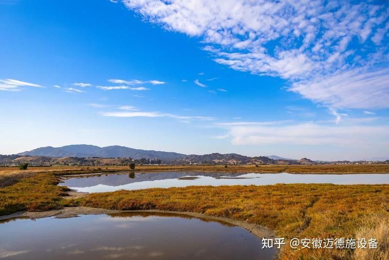 如何判斷水質(zhì)是否需要調(diào)節(jié)：泛塘養(yǎng)魚(yú)第一線養(yǎng)殖高手調(diào)水秘訣,水質(zhì)檢測(cè)與調(diào)節(jié)技巧全解析