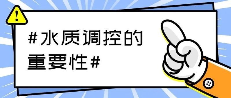 如何判斷水質(zhì)是否需要調(diào)節(jié)：泛塘養(yǎng)魚(yú)第一線養(yǎng)殖高手調(diào)水秘訣,水質(zhì)檢測(cè)與調(diào)節(jié)技巧全解析