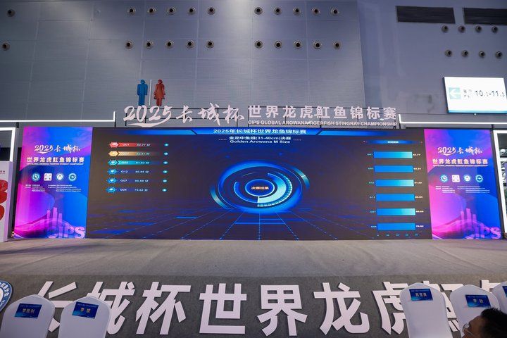 2025 長城杯世界龍虎魟魚錦標賽（龍魚組）