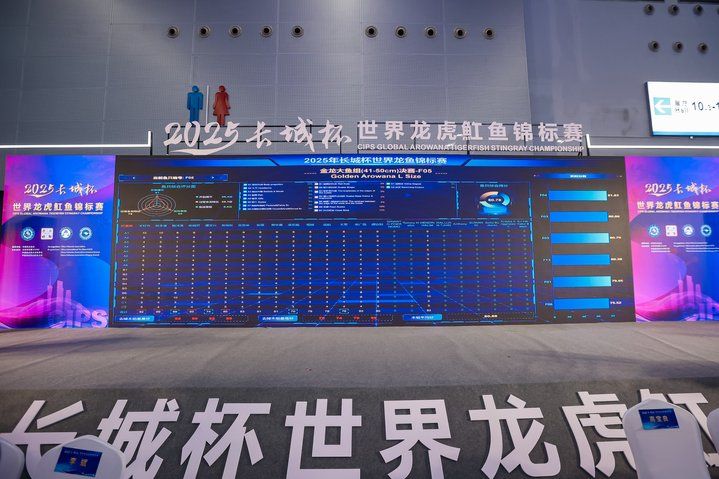 2025 長城杯世界龍虎魟魚錦標賽（龍魚組）