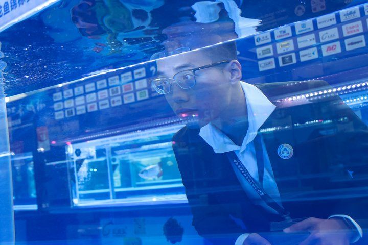 2025 長城杯世界龍虎魟魚錦標賽（龍魚組）