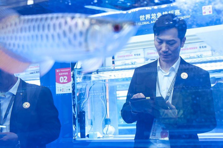 2025 長城杯世界龍虎魟魚錦標賽（龍魚組）