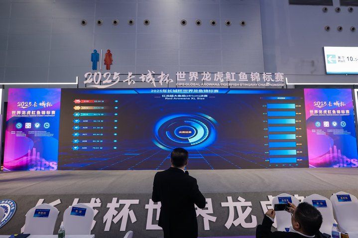 2025 長城杯世界龍虎魟魚錦標賽（龍魚組）
