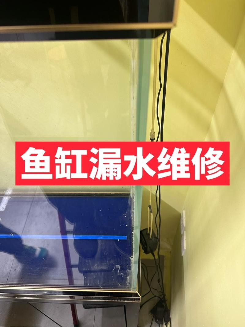 博士龍魚缸的售后服務如何：博士龍魚缸售后服務政策有哪些細節博士龍魚缸售后服務政策