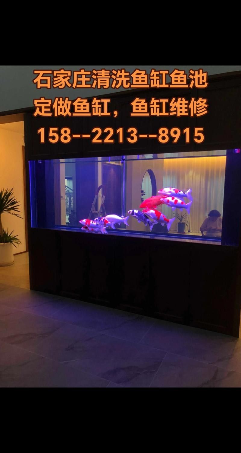 博士龍魚缸的售后服務如何：博士龍魚缸售后服務政策有哪些細節(jié)博士龍魚缸售后服務政策