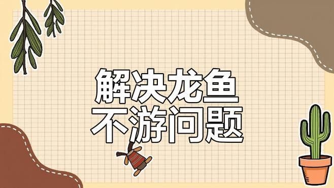 龍魚呆在水面不游動(dòng)，如何調(diào)節(jié)水質(zhì)：養(yǎng)魚說龍魚不敢游動(dòng)水質(zhì)和濾材調(diào)整大揭秘