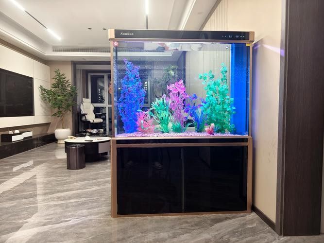 高端魚缸的價格范圍是多少？：高端魚缸價格范圍