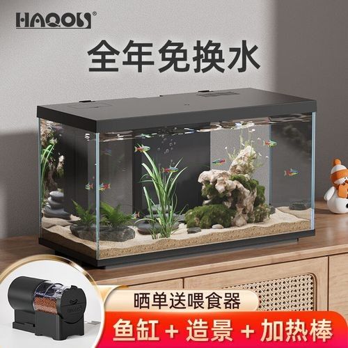 高端魚缸的價格范圍是多少？：高端魚缸價格范圍