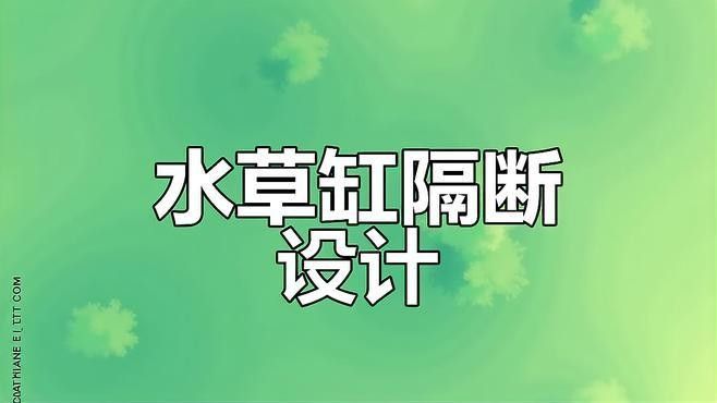 如何設置水草隔離帶？：水草缸換水頻率的重要性