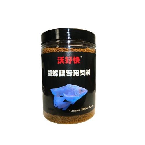 金龍魚(yú)和蝴蝶鯉的食物選擇：金龍魚(yú)和蝴蝶鯉混養(yǎng)需要注意什么？
