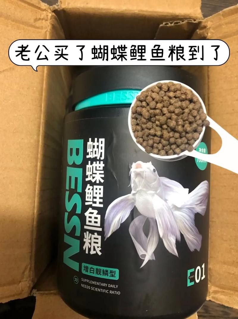 金龍魚(yú)和蝴蝶鯉的食物選擇：金龍魚(yú)和蝴蝶鯉混養(yǎng)需要注意什么？