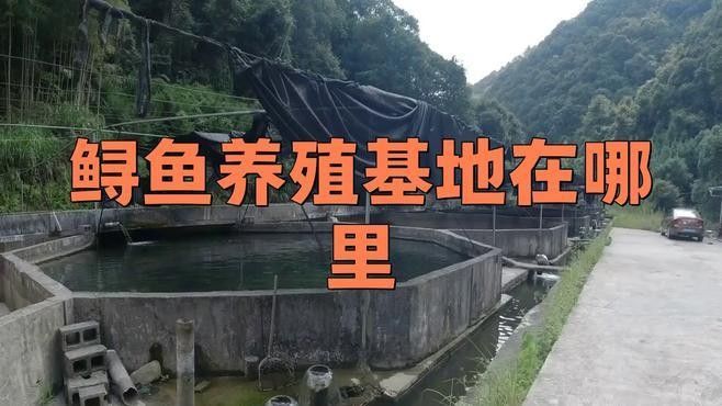 2017年鱘龍魚養殖情況如何？：2017年鱘龍魚養殖業呈現規模化與專業化發展趨勢