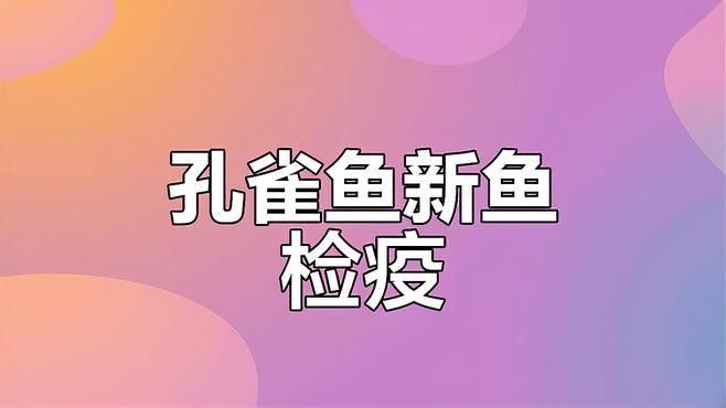 批發(fā)翹嘴紅龍魚苗需要哪些手續(xù)：批發(fā)翹嘴紅龍魚苗需要辦理以下手續(xù) 批發(fā)翹嘴紅龍魚苗需要哪些手續(xù)：批發(fā)翹嘴紅龍魚苗需要辦理以下手續(xù) 龍魚百科 第2張