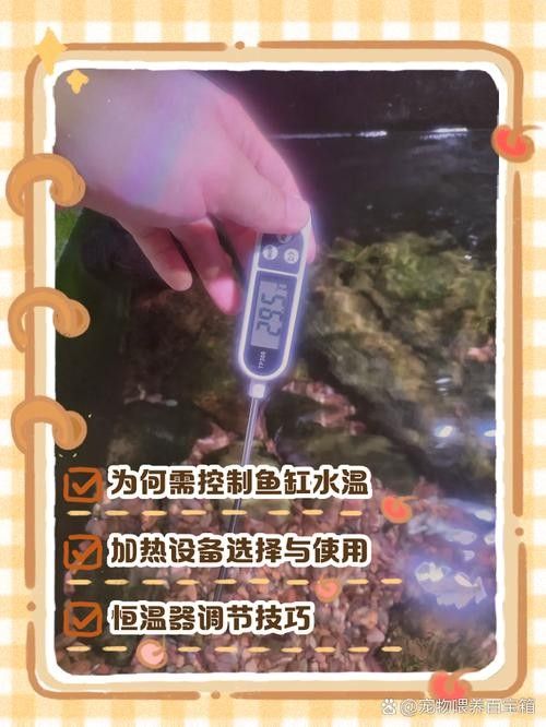 如何穩(wěn)定龍魚缸的水溫：不同品種龍魚對水溫需求存在差異：銀龍魚對水溫需求存在差異