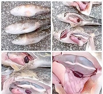 龍魚死后需要解剖嗎：龍魚死后是否需要解剖取決于飼主實際需求和死亡原因的可疑程度