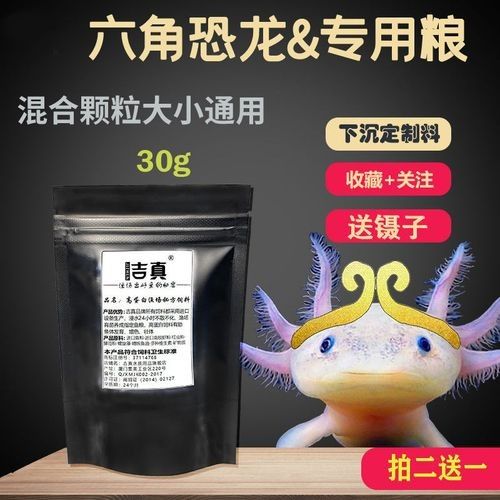 哪些品牌的火龍魚飼料比較好：火龍魚飼料及牌子推薦