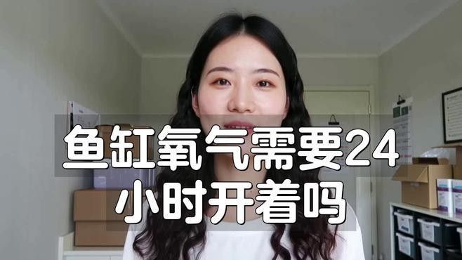 龍魚打氧需要24小時嗎：龍魚是否需要24小時打氧