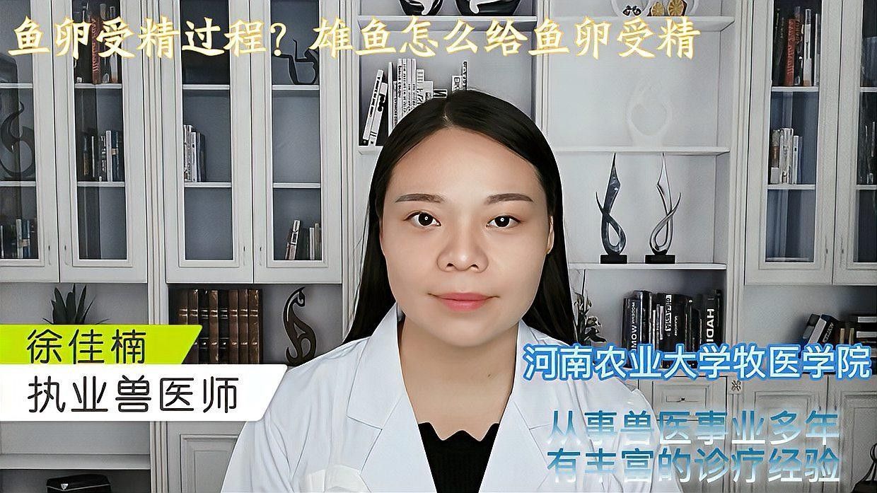 如何判斷紅龍魚魚卵是否受精？：判斷紅龍魚是否受精可通過以下特征和方法進(jìn)行觀察