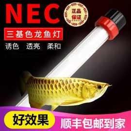 紅龍魚(yú)用什么品牌的燈比較好：紅龍魚(yú)專用燈-紅龍魚(yú)燈管使用