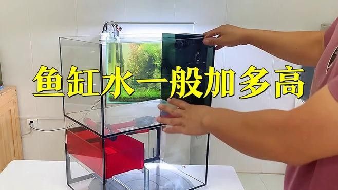 雷龍魚缸多久換一次水：雷龍魚換水技巧大揭秘，如何正確操作不傷魚佳期如夢(mèng)一場(chǎng)