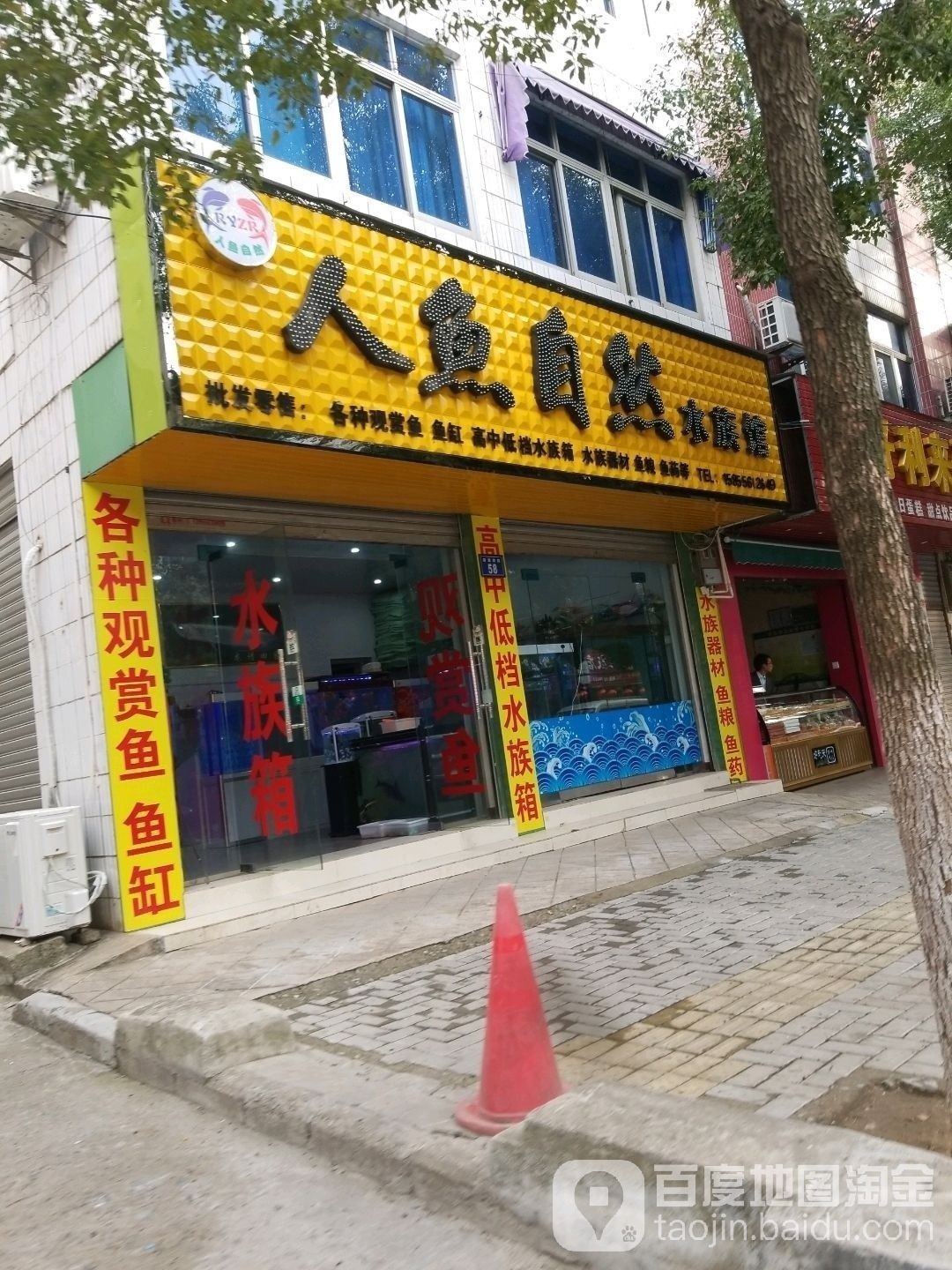 桐城哪個水族館龍魚好？祥龍魚場龍魚：桐城哪個水族館的龍魚性價比最高？