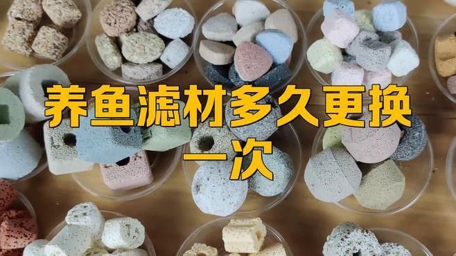 換濾材時需要注意什么？：養魚濾材多久更換一次pro魚缸濾材多久更換一次