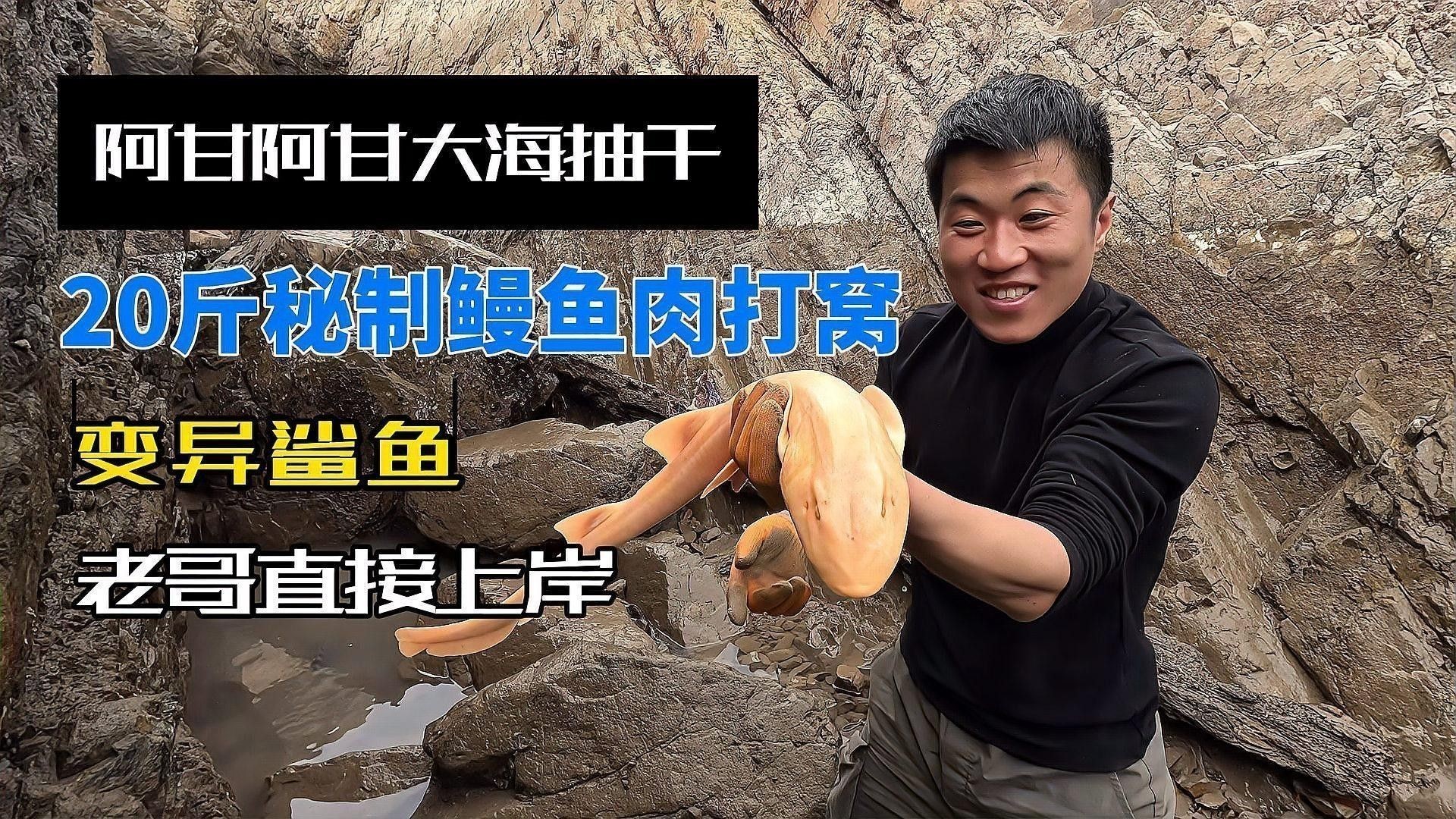 能詳細介紹一下金色海鰻嗎？：金色海鰻捕撈過程 能詳細介紹一下金色海鰻嗎？：金色海鰻捕撈過程 龍魚百科 第1張