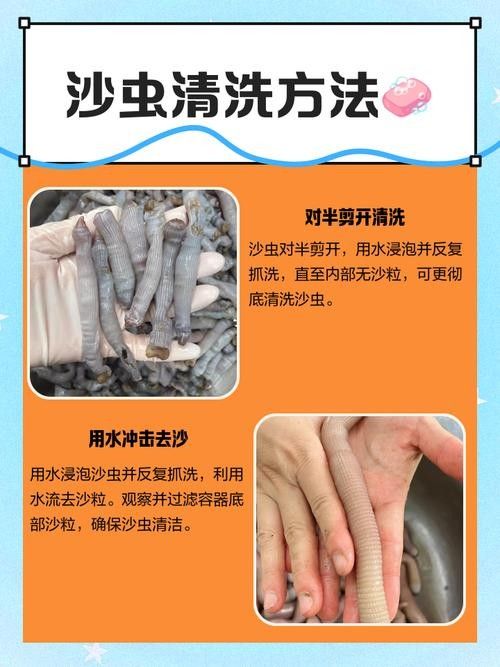 哪種沙子最容易清洗:不同類型沙子的特點是清洗難易程度的分析及推薦及推薦 龍魚百科 第6張 哪種沙子最容易清洗:不同類型沙子的特點是清洗難易程度的分析及推薦及推薦 哪種沙子最容易清洗:不同類型沙子的特點是清洗難易程度的分析及推薦及推薦 龍魚百科 第6張