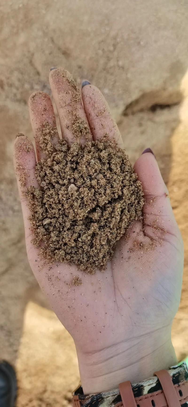 哪種沙子最容易清洗:不同類型沙子的特點是清洗難易程度的分析及推薦及推薦 龍魚百科 第4張 哪種沙子最容易清洗:不同類型沙子的特點是清洗難易程度的分析及推薦及推薦 哪種沙子最容易清洗:不同類型沙子的特點是清洗難易程度的分析及推薦及推薦 龍魚百科 第4張