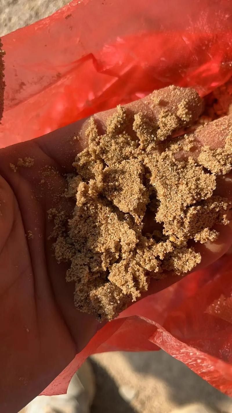 哪種沙子最容易清洗:不同類型沙子的特點是清洗難易程度的分析及推薦及推薦 龍魚百科 第2張 哪種沙子最容易清洗:不同類型沙子的特點是清洗難易程度的分析及推薦及推薦 哪種沙子最容易清洗:不同類型沙子的特點是清洗難易程度的分析及推薦及推薦 龍魚百科 第2張