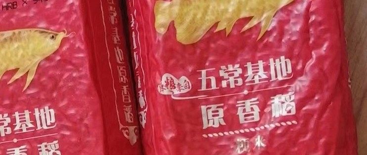 金龍魚積分如何獲取：七日世界金龍魚怎么獲得