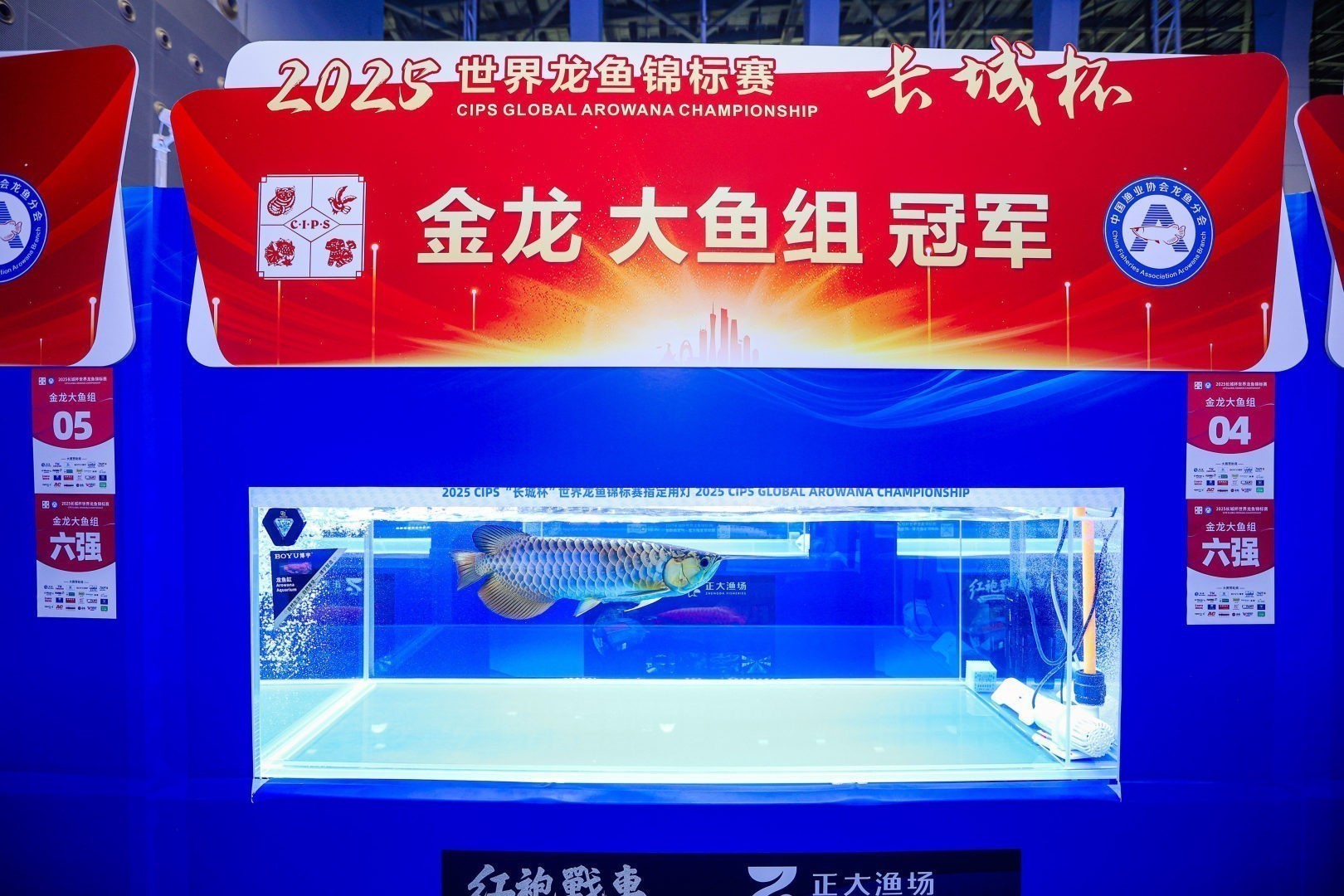 2025 長城杯世界龍虎魟魚錦標賽（金龍魚大魚組）