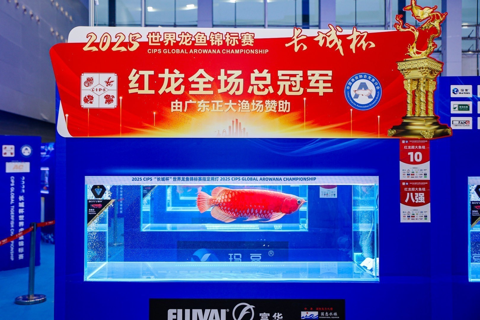 2025 長城杯世界龍虎魟魚錦標賽（全場總冠軍）：2025長城杯世界龍虎魟魚錦標賽全場總冠軍