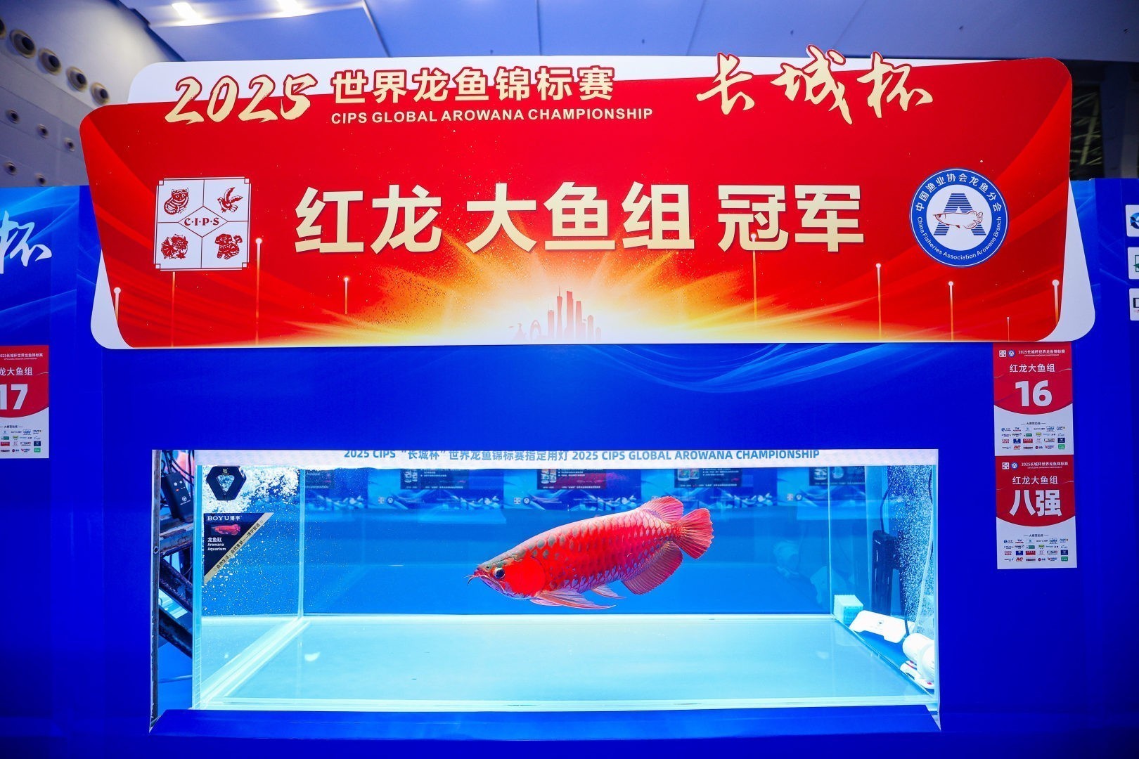 2025 長城杯世界龍虎魟魚錦標賽（全場總冠軍）：2025長城杯世界龍虎魟魚錦標賽全場總冠軍