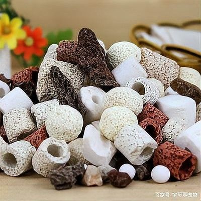 金龍魚飼養中如何選擇合適的濾材：如何選擇適合龍魚的濾材 金龍魚飼養中如何選擇合適的濾材：如何選擇適合龍魚的濾材 龍魚百科 第9張