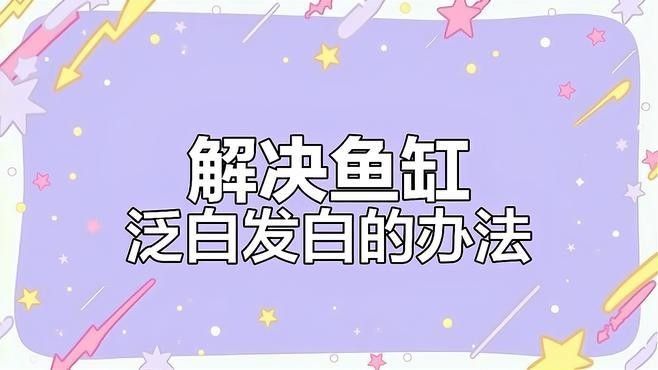 龍魚缸水發白，需要多久才能恢復：魚缸水體發白怎么辦 龍魚缸水發白，需要多久才能恢復：魚缸水體發白怎么辦 龍魚百科 第2張