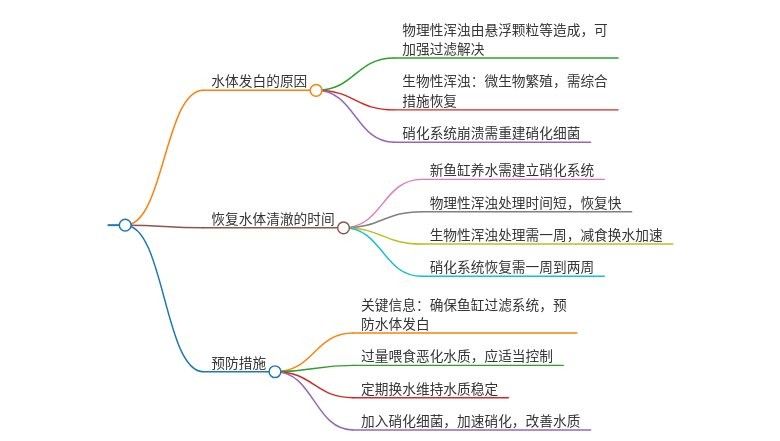 龍魚缸水發白，需要多久才能恢復：魚缸水體發白怎么辦 龍魚缸水發白，需要多久才能恢復：魚缸水體發白怎么辦 龍魚百科 第6張