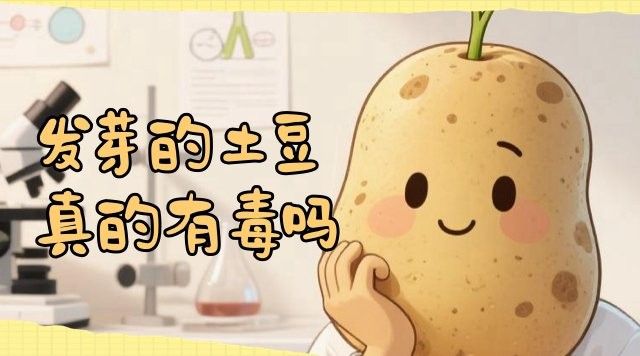 美國對網絡攻擊中國有何回應？：中國外交部回應美國對中國實施網絡攻擊外交部回應