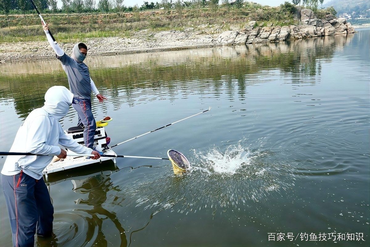 假龍魚的最佳垂釣時間：假龍魚最佳垂釣時間