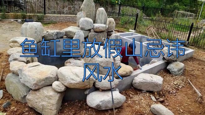龍魚(yú)缸石頭造景的禁忌有哪些：魚(yú)缸擺放方法