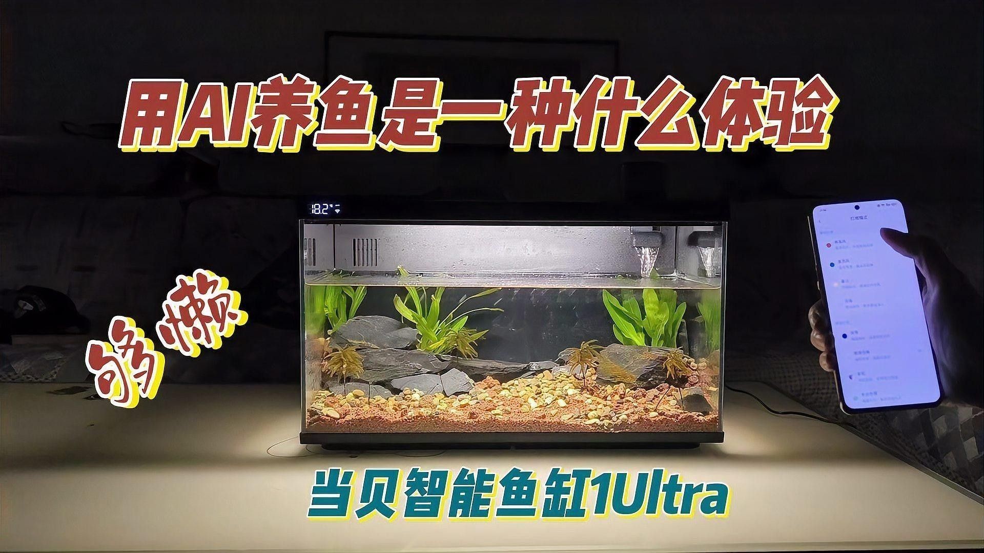 森森和西龍哪個更智能：森森和西龍在智能產品領域的表現各有側重 森森和西龍哪個更智能：森森和西龍在智能產品領域的表現各有側重 龍魚百科 第1張