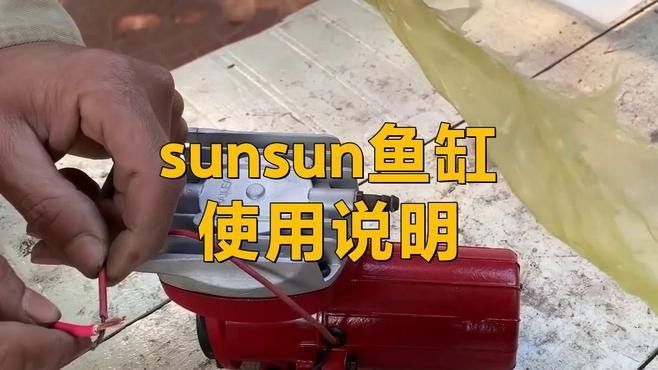 森森和西龍哪個更智能：森森和西龍在智能產品領域的表現各有側重 森森和西龍哪個更智能：森森和西龍在智能產品領域的表現各有側重 龍魚百科 第6張
