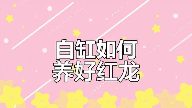 紅眼白子招財(cái)龍發(fā)色期需要多長時(shí)間？：紅眼白子招財(cái)龍發(fā)色期間需要喂什么飼料？