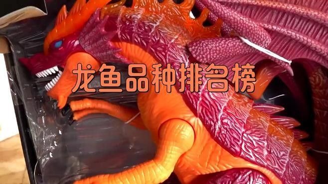 西夏哪個水族館龍魚好？祥龍魚場龍魚：西夏地區水族館龍魚展示案例 西夏哪個水族館龍魚好？祥龍魚場龍魚：西夏地區水族館龍魚展示案例 龍魚百科 第7張