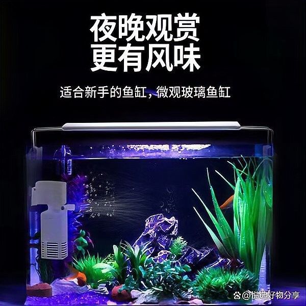 森森和漢霸哪個更值得購買：新手養魚不知道魚缸怎么選看完視頻就懂了 森森和漢霸哪個更值得購買：新手養魚不知道魚缸怎么選看完視頻就懂了 龍魚百科 第12張