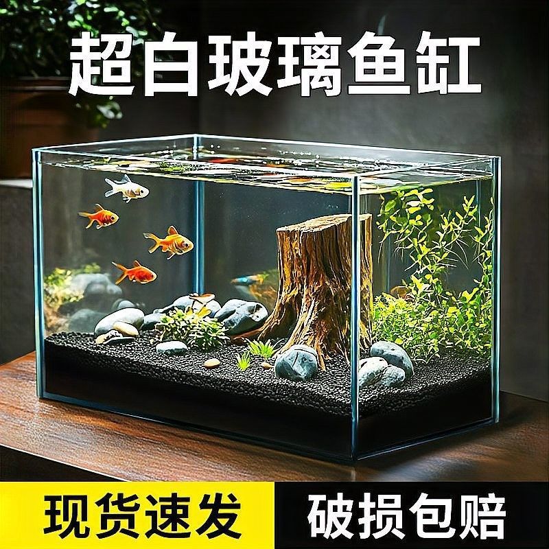 森森和漢霸哪個更值得購買：新手養魚不知道魚缸怎么選看完視頻就懂了 森森和漢霸哪個更值得購買：新手養魚不知道魚缸怎么選看完視頻就懂了 龍魚百科 第14張