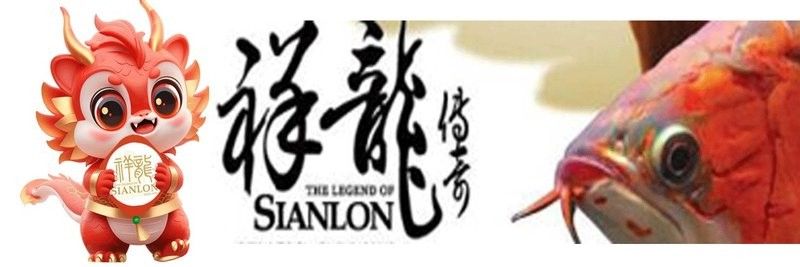 贊皇哪個水族館龍魚好？祥龍魚場龍魚：聊城水族館|祥龍魚場聊城分店liaocheng