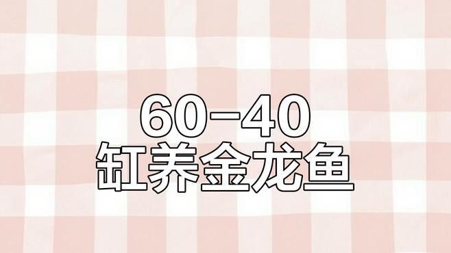古典金龍魚需要多大的魚缸：古典金龍魚缸尺寸選擇指南,新手也能養出健康龍魚 古典金龍魚需要多大的魚缸：古典金龍魚缸尺寸選擇指南,新手也能養出健康龍魚 龍魚百科 第2張